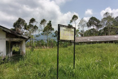 Sayang Lho..!! Aset Berharga Pemkab Lampung Barat di Kebun Tebu Dicampakkan