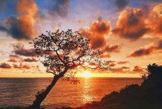 Keindahan Senja dari  Tebing Gunungkidul