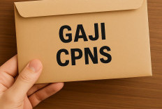 Masih Berstatus CPNS, Gaji 412 CPNS Masih 80 Persen