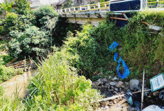 Pemprov Diminta Tak Tunda   Perbaikan Jembatan Palakia 