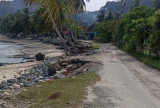 Jalan di Pekon Penengahan   Terdampak Abrasi Pantai