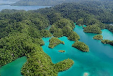 Tawale, Surga Bahari Tersembunyi  di Ujung Selatan Halmahera