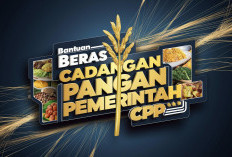 Perpanjangan Bantuan Beras CPP Tunggu Pusat