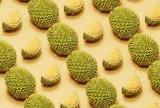 4 Manfaat Kulit Durian Untuk Kesehatan, Yang Perlu Anda Ketahui