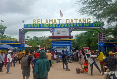 Libur Nataru, Taman Kehati Mesuji  Diserbu Ribuan Pengunjung