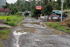 Jalan Rusak Parah di BNS Luput dari Perhatian Pemerintah