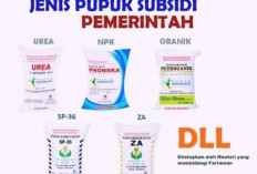 Pemerintah Rencanakan Penyederhanaan Aturan Penyaluran Pupuk Subsidi ke Petani