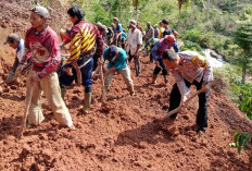 Sempat Tutupi Badan Jalan, Longsor di Simpang Sari Berhasil Ditangani 