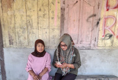 BPS Survei Usaha Bahan  Pokok non-Rumah Tangga 
