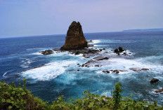 Pesona Pantai-Pantai Jember  Harmoni Alam Jawa Timur