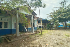 Penangkaran Penyu Ngambur Rusak, Pokmaswas Dwi Lestari  Minta Prioritas Pembangunan