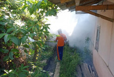 Dua Warga di Serang DBD, Pekon Way Sindi Lakukan Fogging