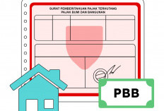 Realisasi PBB-P2 Menara Telekomunikasi 56,98 Persen