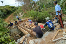 Jembatan Usang di  Sumberrejo Ambruk 