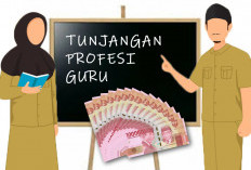 Kabar Gembira!, 1.253 Guru PNS akan Terima Dana TPG 