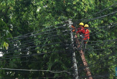 Pembangkit Gas Dikurangi, RI Pangkas Konsumsi LNG 100 Kargo