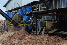 Kecelakaan Kerja Tragis di PT Minggok Indonesia, Pekerja Tewas Terjatuh ke Mesin Penghancur Kayu