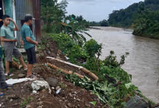 Lima Titik Dinding Way Laay Terancam Erosi, Pemerintah Pekon Minta Penanganan Segera