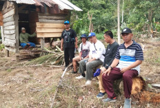 Gajah Liar Rusak 11 Gubuk Warga Marang, Terpantau Sebanyak 16 Ekor