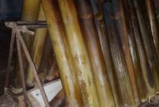 Cara Membuat Lemang Bambu, Kuliner Tradisional yang Lezat
