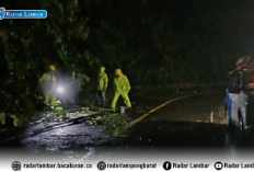 Tiang Listrik Ambruk Selesai Dipindahkan, Lalu Lintas Liwa- Krui Kembali Normal