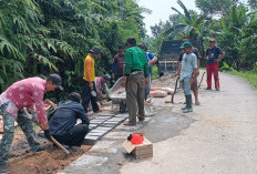 Warga-Aparatur Pekon Turgak Perbaiki Kerusakan Jalan Utama Pekon 