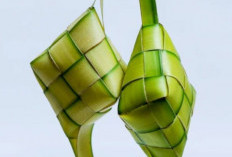 Empat Cara Menyimpan Ketupat Matang agar Tahan Lama