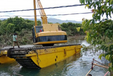 Air Asam Dinormalisasi, Ratusan Hektare Lahan di  Suoh-BNS Siap Produktif