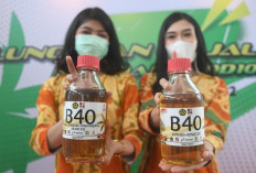 Kementerian ESDM Siapkan Transisi B40, Distribusi Penuh Dimulai Februari 2025