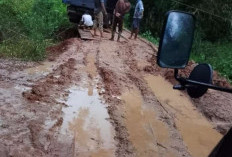 Peratin Sidodadi Imbau Pengguna Jalan  Berhati-hati Lewati Jembatan Darurat