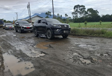 Mukhlis Basri Dorong Penyelesaian Jalan Suoh 