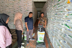 Stok Aman,  Pemkab Pesbar Pastikan Ketersediaan Beras 29,8 Ton