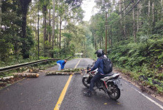 Jalan Liwa-Krui Rawan, Pengendara Diminta Waspada saat Melintas