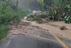 Hujan Lebat, Jalan Nasional di Kerang Tertimbun Longsor