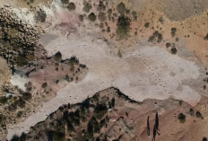 Ditemukan 16 Ribu Jejak Dinosaurus di Bolivia, Ilmuwan Sebut Jalur Ini Jadi 