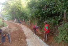 Puluhan Warga Bakhu Gotong Royong Lakukan Penataan Badan Jalan 