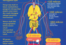 Penelitian Terbaru, Kandungan Mikroplastik di Otak Manusia Meningkat Drastis