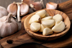 Apakah Bawang Putih Efektif untuk Mengobati Bisul?