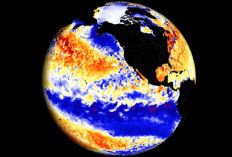 BMKG Prediksi La Nina Datang Akhir 2025, Musim Hujan Akan Lebih Panjang