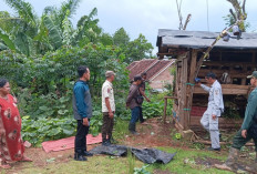 Beruang Madu Resahkan Warga Bangkunat