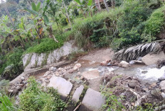 Rusak Diterjang banjir,  Petani Tunggu Perbaikan Bendungan Way Asahan