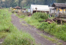 Tiga Desa Unik di Indonesia yang Menyimpan Keajaiban Budaya dan Alam