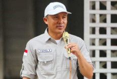 Parosil Larang Pengibaran Bendera One Piece 