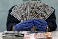 Bayar Utang, Cadangan Devisa RI Turun Jadi  US$152 Miliar per Juli 2025