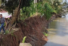 Dinas PUPR Pesisir Barat Akan Inventarisasi Kondisi Sungai