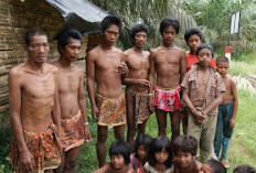 Orang Rimba Terusir, Tradisi Melahirkan di Tano Peranokon Terancam