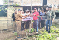 Program Ketahanan Pangan Hewani, Pekon Sri Menanti Salurkan Bantuan Ayam dan Kambing