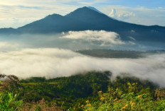 Peneliti Ungkap Misteri Gunung Misterius yang Letusannya Mendinginkan Bumi  