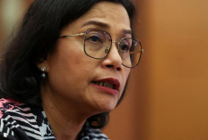 Sri Mulyani Umumkan 11 Syarat  Jadi Wakil dan Ketua LPS 2025-2030