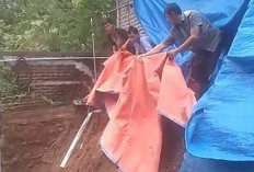 Minta Pemkab Beri Perhatian, Bagian Dapur Rumah Warga di  Balai Kencana Terseret Longsor